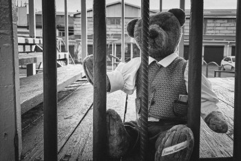 Фотография к новости: Обнаружено тело пропавшей в Кызылординской области девочки