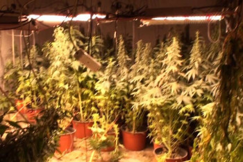 Фотография к новости: Производившую наркотики ОПГ повязали в Алматы