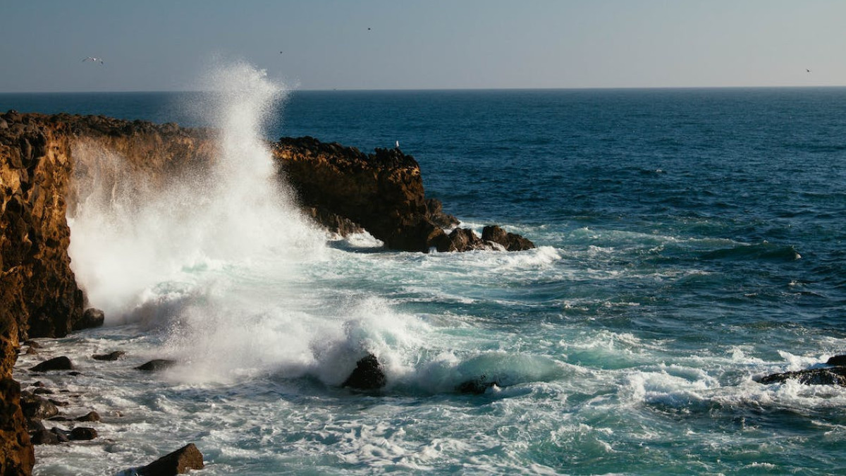  иллюстративное / pexels.com