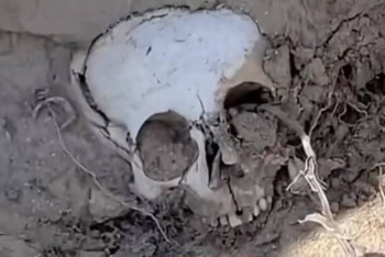 Фотография к новости: Человеческий череп обнаружили в степи в Мангистауской области