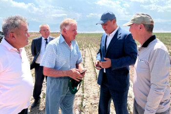 Фотография к новости: Пострадавшим от засухи фермерам Жамбылской области возместят ущерб