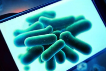 Фотография к новости: Почему нельзя брать смартфон в туалет, рассказали учёные