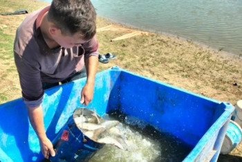 Фотография к новости: Сотню тысяч мальков спасли из водоема в Атырау