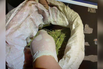 Фотография к новости: Около 10 килограмм марихуаны изъяли полицейские в Жамбылской области