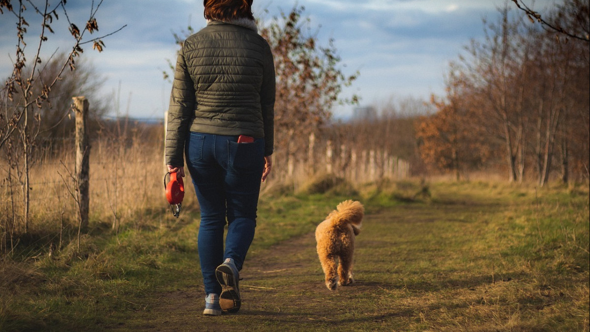  pixabay.com / иллюстративное фото