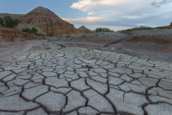 Фотография к новости: "Золотые участки" земли за 7 миллиардов тенге вернули государству