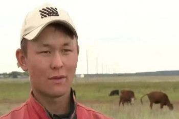 Фотография к новости: Полмиллиона в месяц получает студент, подрабатывающий пастухом в СКО