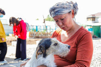 Фотография к новости: День защиты бродячих животных отмечают в Астане