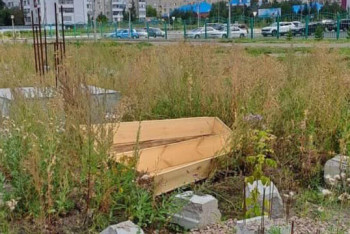 Фотография к новости: Пустой гроб нашли на одной из улиц Петропавловска