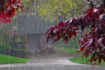 Фотография к новости: Штормовое предупреждение объявлено в Астане и 14 областях Казахстана