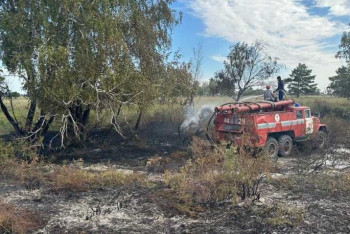 Фотография к новости: В Наурзумском заповеднике потушили пожар