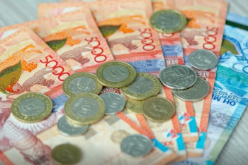 Фотография к новости: Зарплаты в 85 тысяч тенге для чиновников потребовали казахстанцы