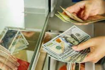 Фотография к новости: Казахстанцы скупают доллары: спрос на них достиг максимума