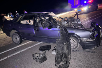 Фотография к новости: Уснул за рулём: два человека погибли в жутком ДТП на трассе в Жетысу