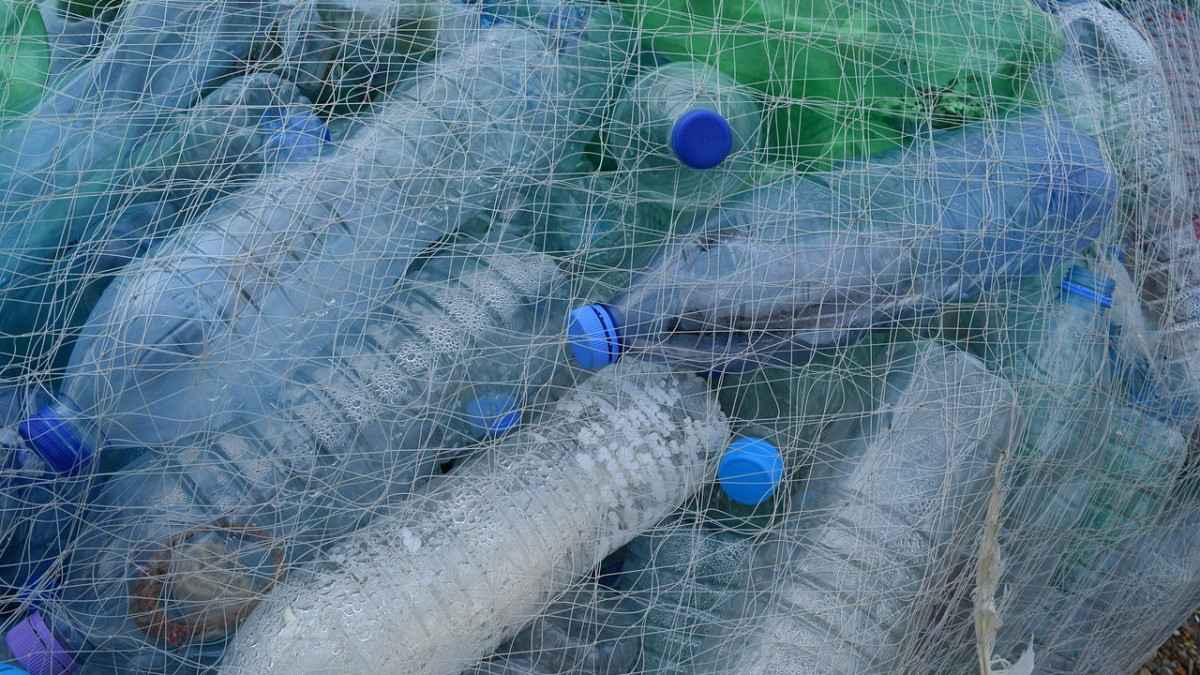  pixabay.com / иллюстративное фото