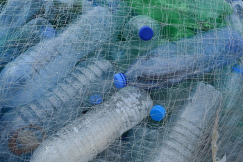 Фотография к новости: Всемирный день чистоты проведут в Казахстане