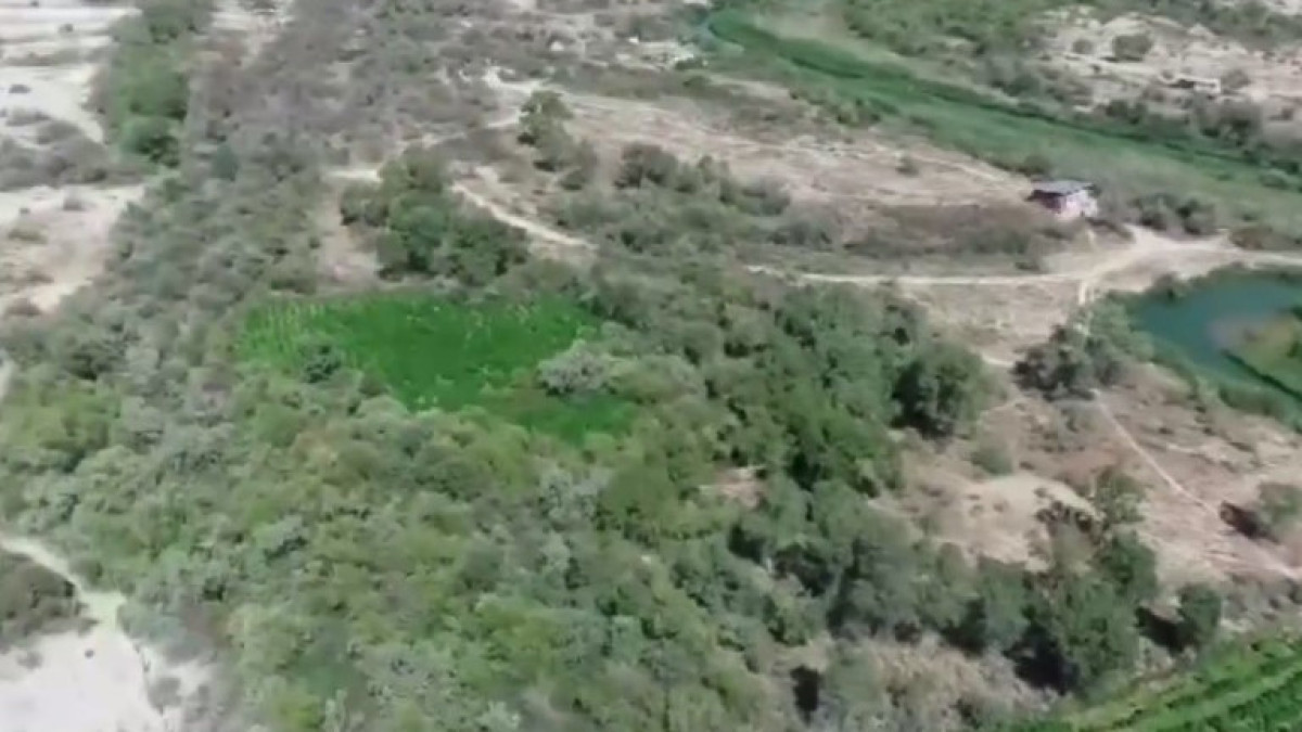  скриншот с видео