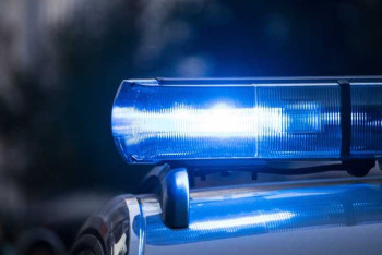 Фотография к новости: В Костанае грибники обнаружили тело девушки