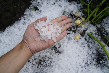 Фотография к новости: Мощный град прошел в Шымкенте