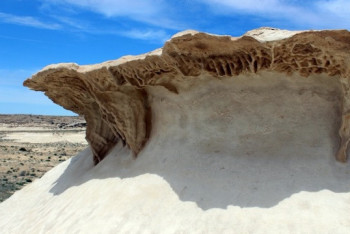 Фотография к новости: Главу дома культуры Казахского общества слепых накажут за вандализм