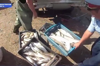 Фотография к новости: Жителя ВКО задержали за незаконную ловлю 127 килограммов рыбы