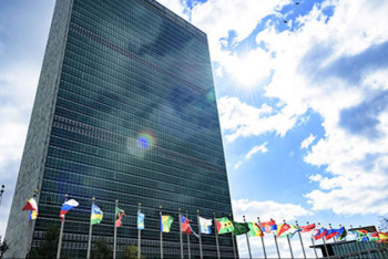 Фотография к новости: В ООН поздравили казахстанцев с Днём Конституции