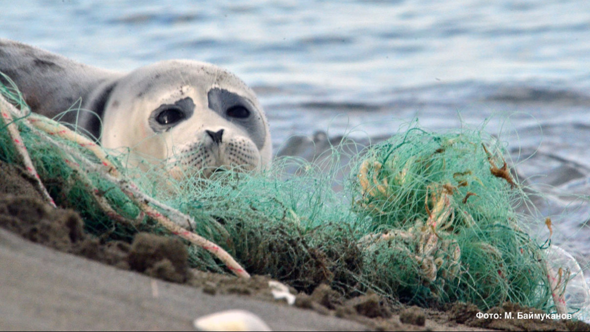 М. Баймуканов