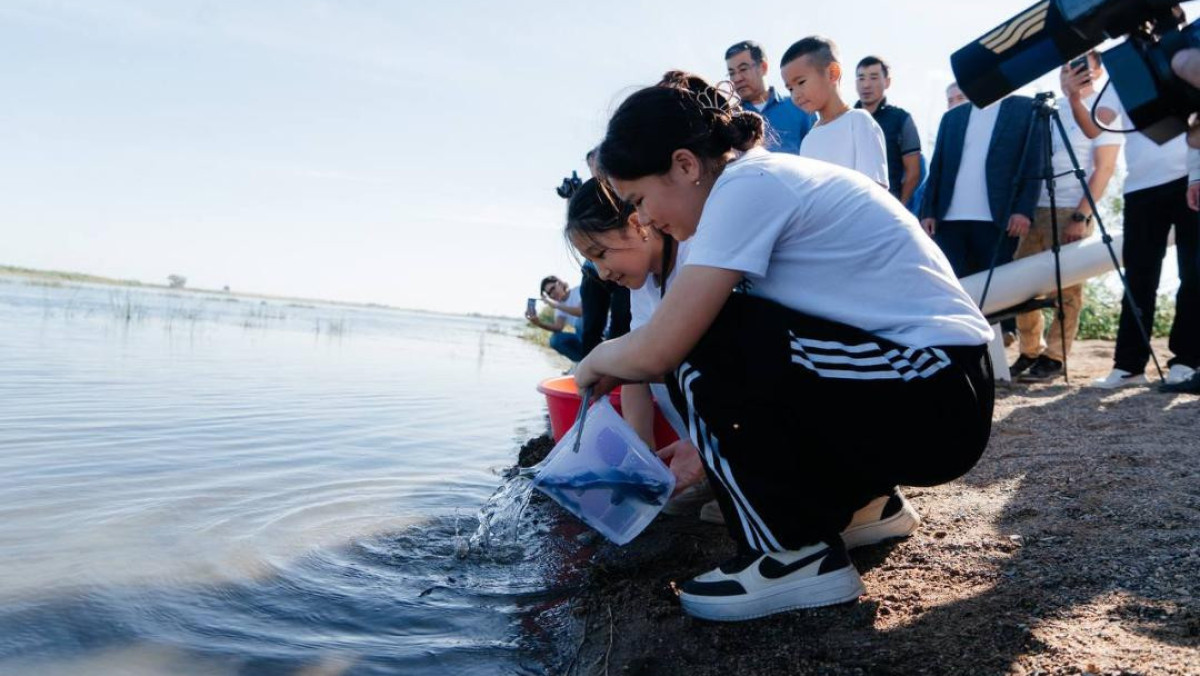  акимат Абайской области