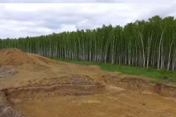 Фотография к новости: Жители Петропавловска возмутились очередной вырубкой в Мещанском лесу