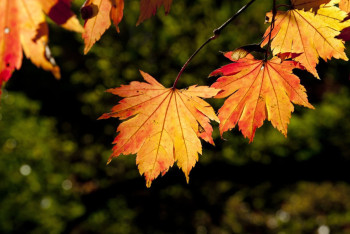Фотография к новости: Какой будет погода в Казахстане в сентябре