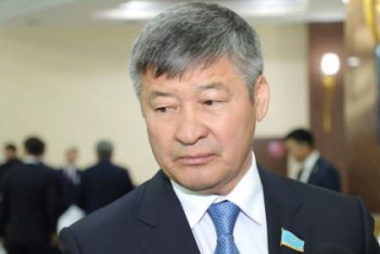 Фотография к новости: "Это очередная информационная атака": Турлыханов о видео с сыновьями