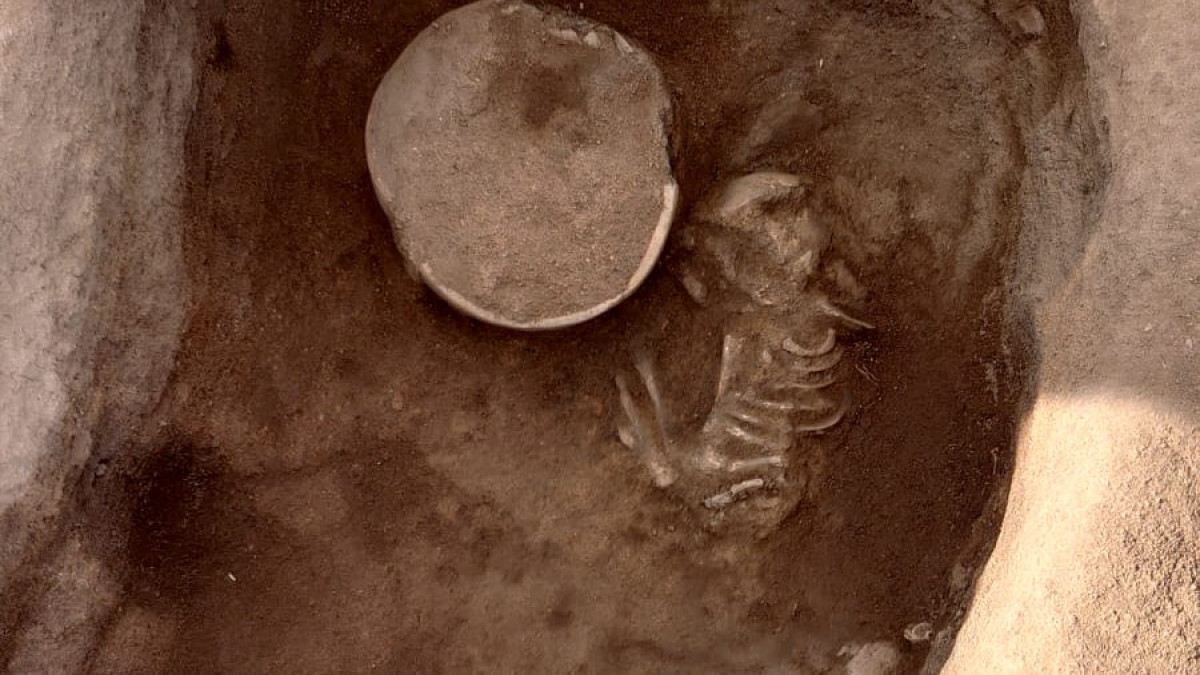  предоставлено Андреем Логвиным.