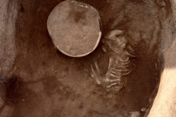 Фотография к новости: Мистическое поселение откопали археологи на месте свалки в Костанайской области