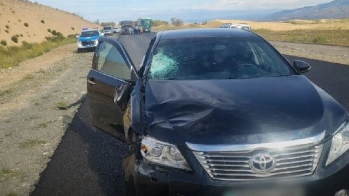  ДП Жетысуской области