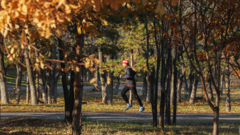 Фотография к новости: Заморозки прогнозируют в Казахстане