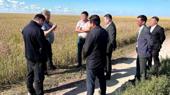 Фотография к новости: Дожди заливают урожай: какую помощь окажут фермерам Костанайской области