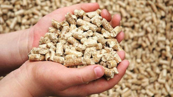 Фотография к новости: Китайская компания построит завод по производству комбикорма в СКО