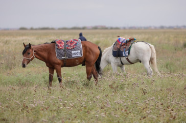 Фотография к новости: Команда из Северного Казахстана выбыла из конного марафона "Ұлы дала жорығы"