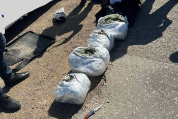 Фотография к новости: Мясо сайги и наркотики изъяты в авто на трассе Жезказган-Кызылорда