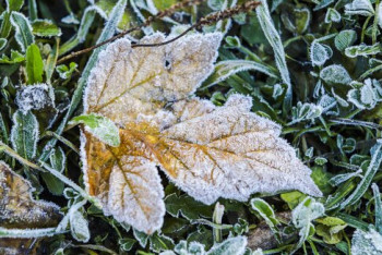 Фотография к новости: В Казахстане заметно похолодает