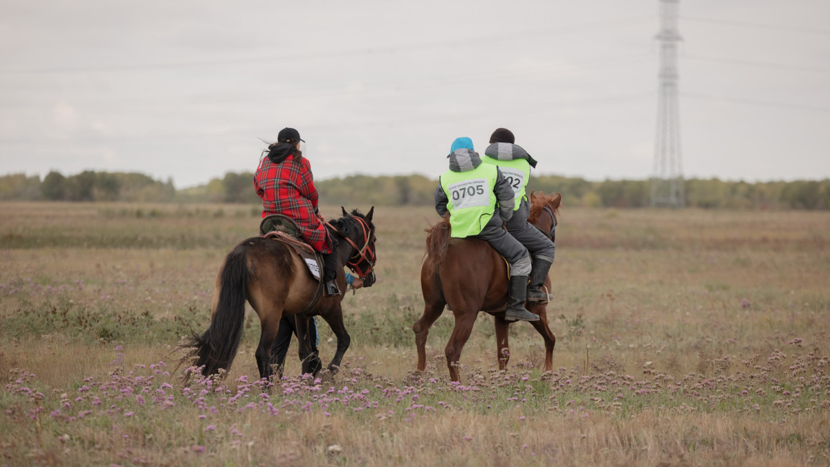  baigenews.kz/Артём Чурсинов