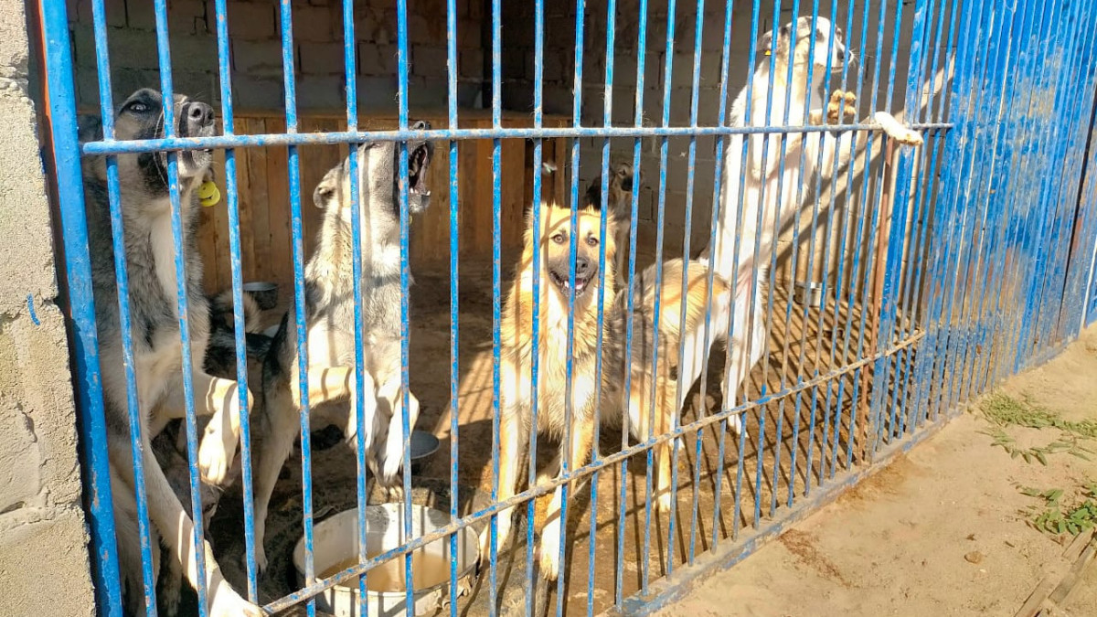  Артем Клеван.