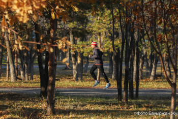 Фотография к новости: Заморозки прогнозируют синоптики в Казахстане