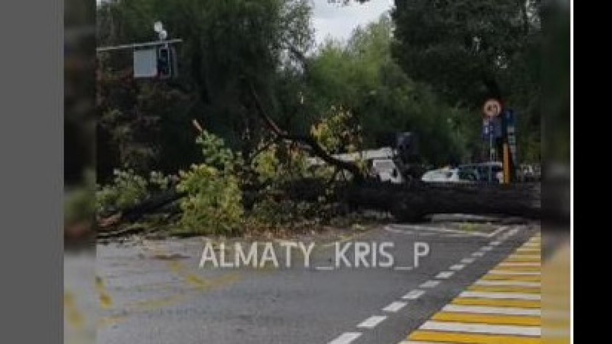  скриншот/instagram.com/krisp_almaty