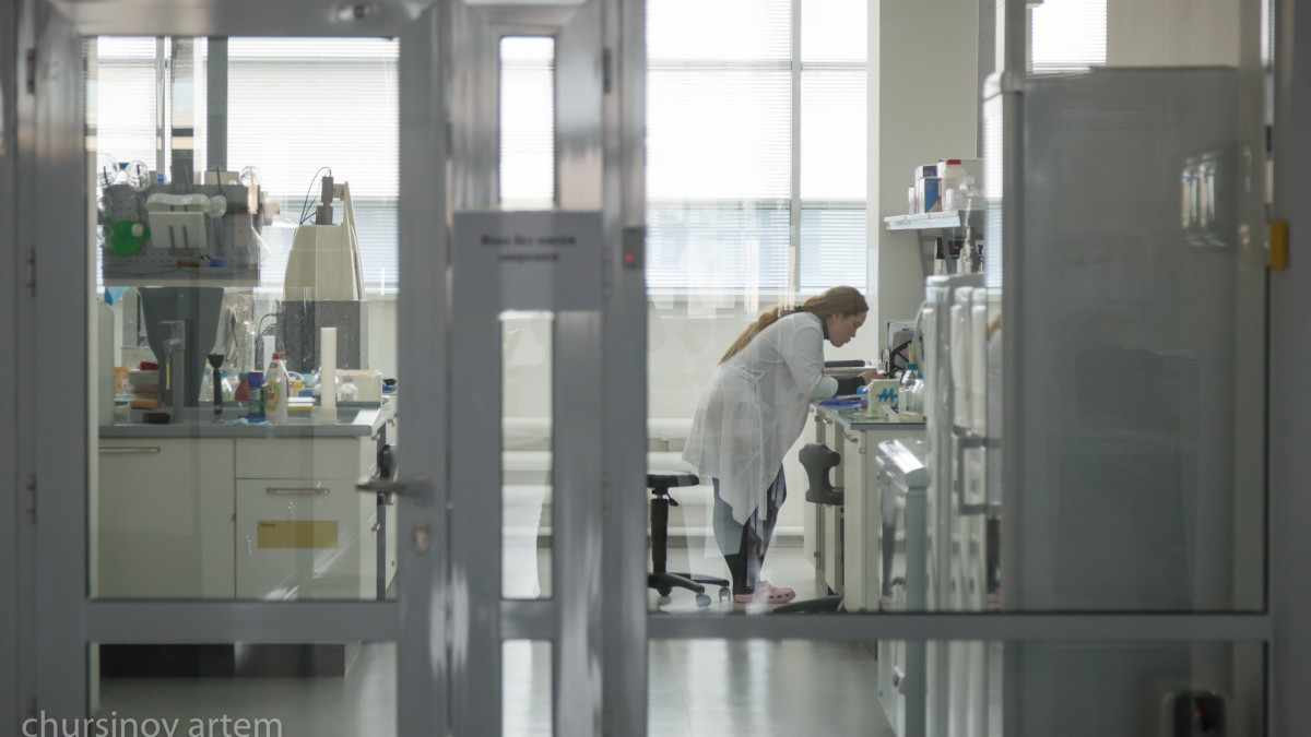  BaigeNews.kz/Артём Чурсинов