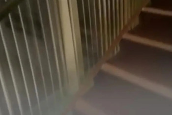 Фотография к новости: Мальчик впал в кому после падения со школьной лестницы в Астане — НемолчиKZ