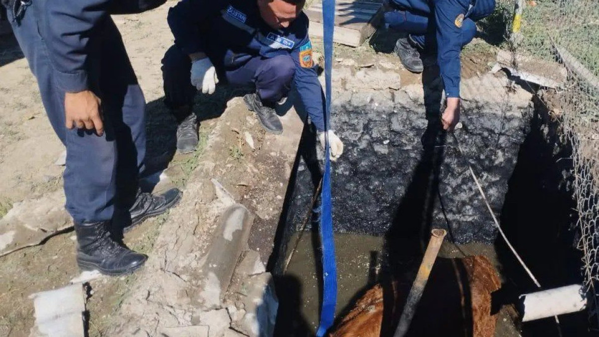  Фото "Мой город"