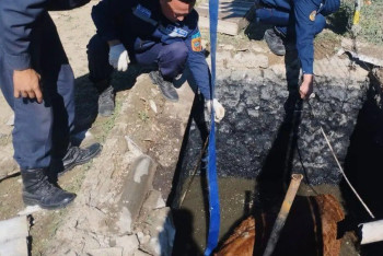 Фотография к новости: Корова упала в септик в селе близ Атырау