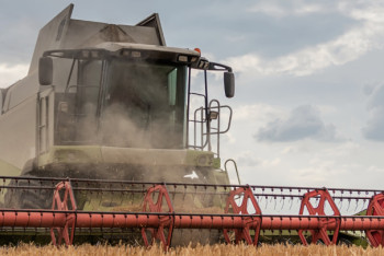 Фотография к новости: В Казахстане собрали около 60% урожая: хватит ли хлеба и муки на год