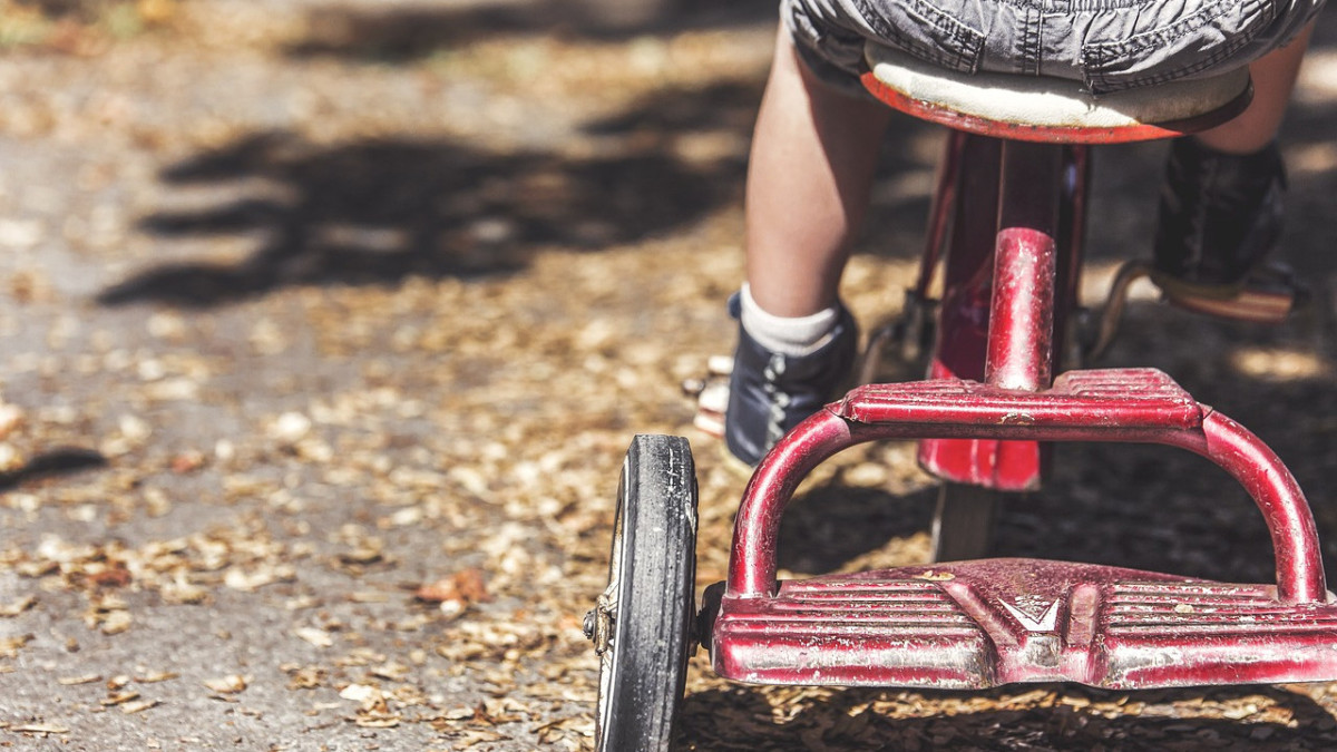  иллюстративное/pixabay